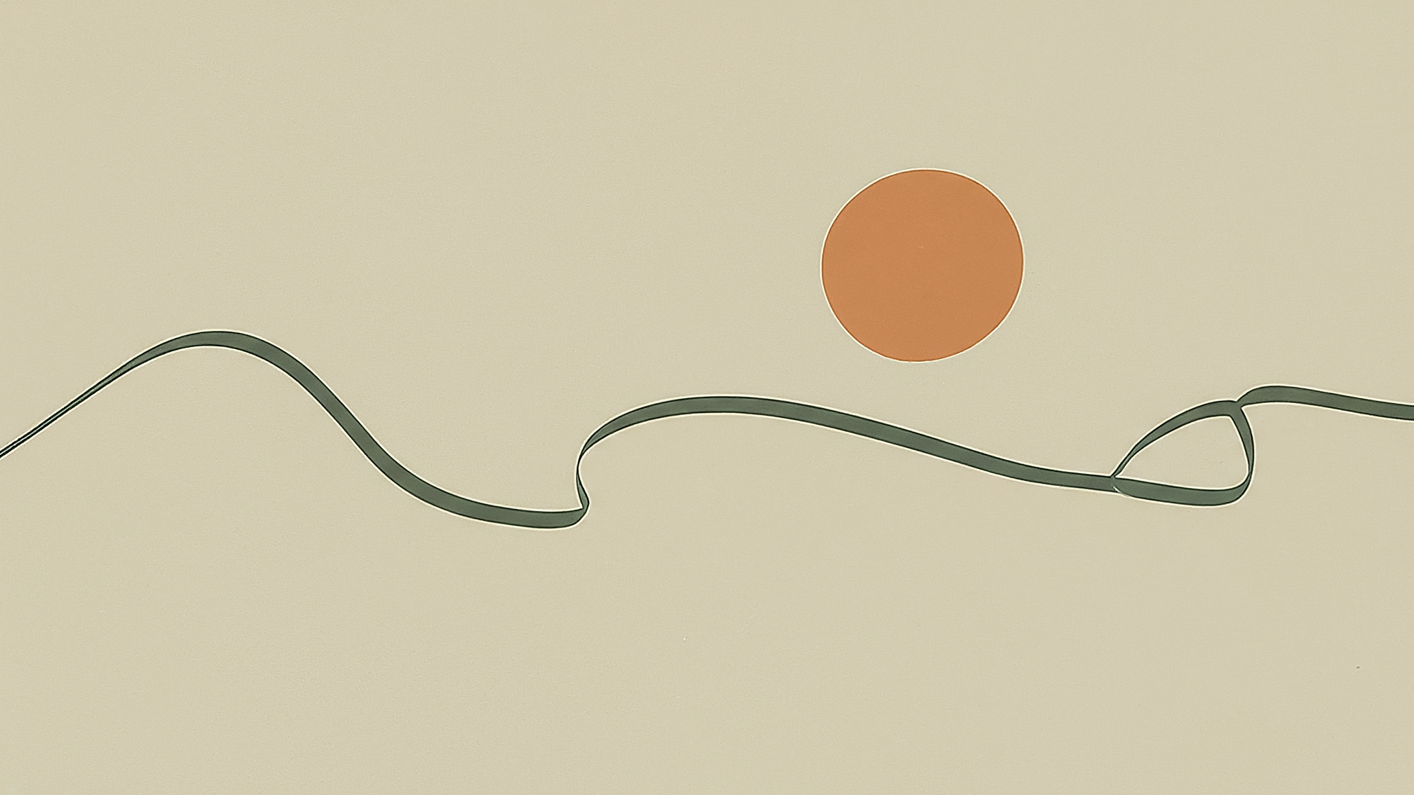 Six organic shapes in gentle constellation representing the Ferni team