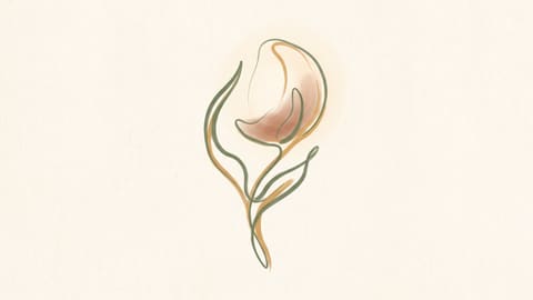 A crescent moon resting inside a flower bud, drawn in sage and amber lines on cream