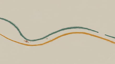 Upward flowing line with marks showing incremental progress